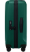 Samsonite Essens EXP Zip lentolaukku, Alpine green, vihreä